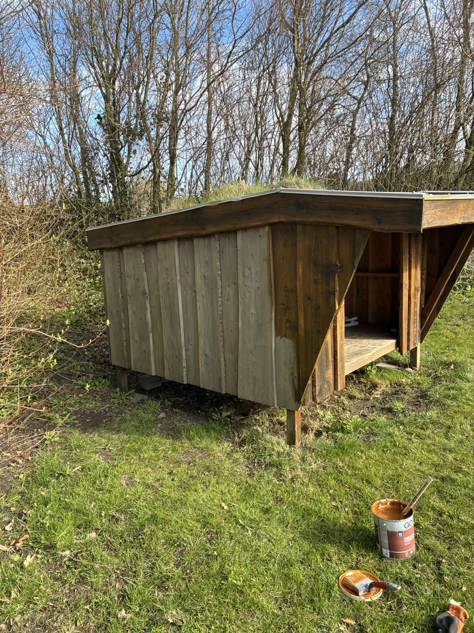 Gro%C3%9F%20%28IMG_1358%29